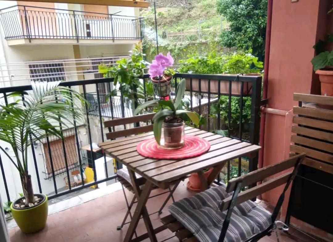 Camera Privata Nell'Appartamento In Zona Residenziale Con 2 Piscine Rapallo Exterior foto
