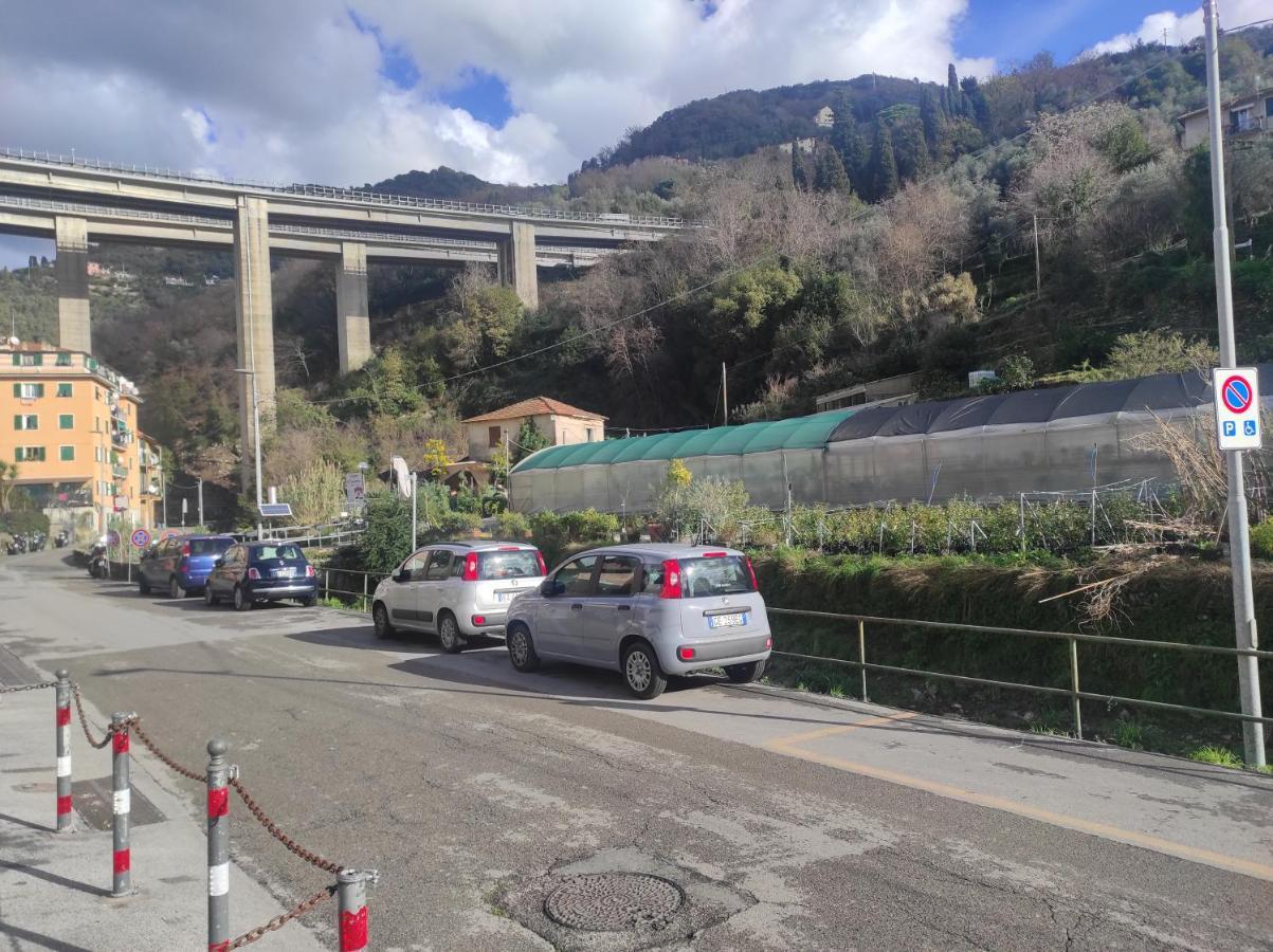 Camera Privata Nell'Appartamento In Zona Residenziale Con 2 Piscine Rapallo Exterior foto